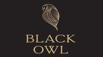 Black Owl New